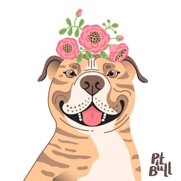 Vector illustration of Happy American Staffordshire Pit Bull Terrier. Best friend - Pit Bull dog and wreath of flowers in the style of cartoon. Vector illustration