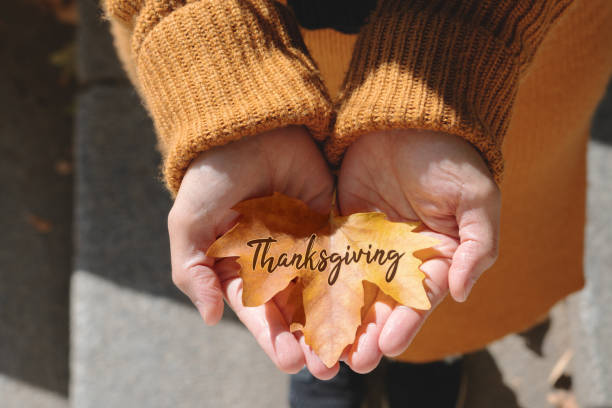 feliz día de acción de gracias con maple leave en la mano de la mujer y el texto - thanksgiving cheerful happiness gratitude fotografías e imágenes de stock