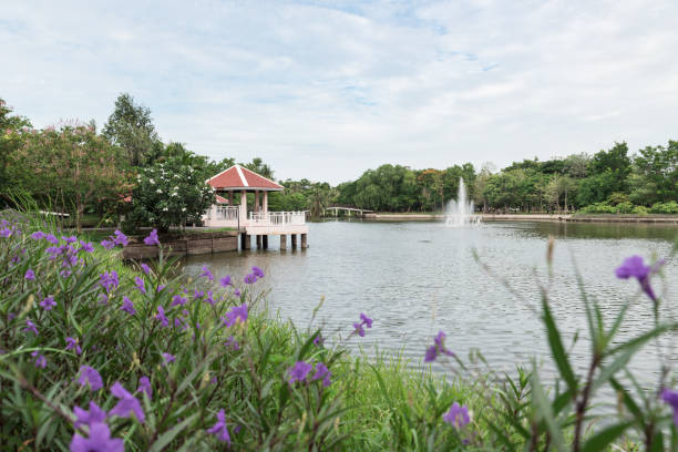 istock Beautiful park with pond and flower 1181147013