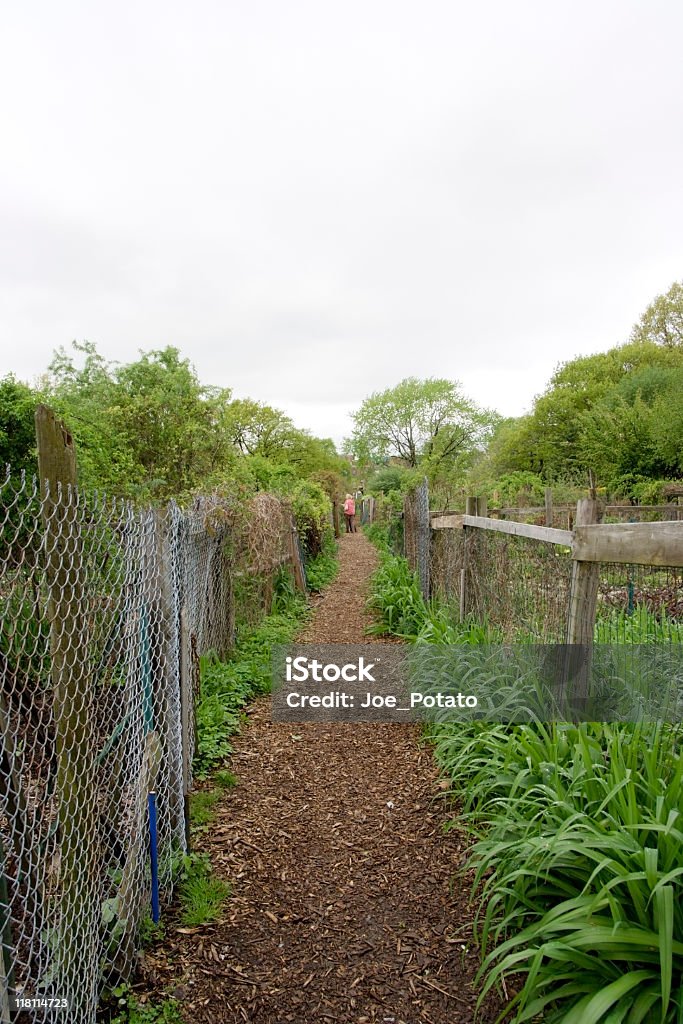 Allée de jardin - Photo de Allée de jardin libre de droits