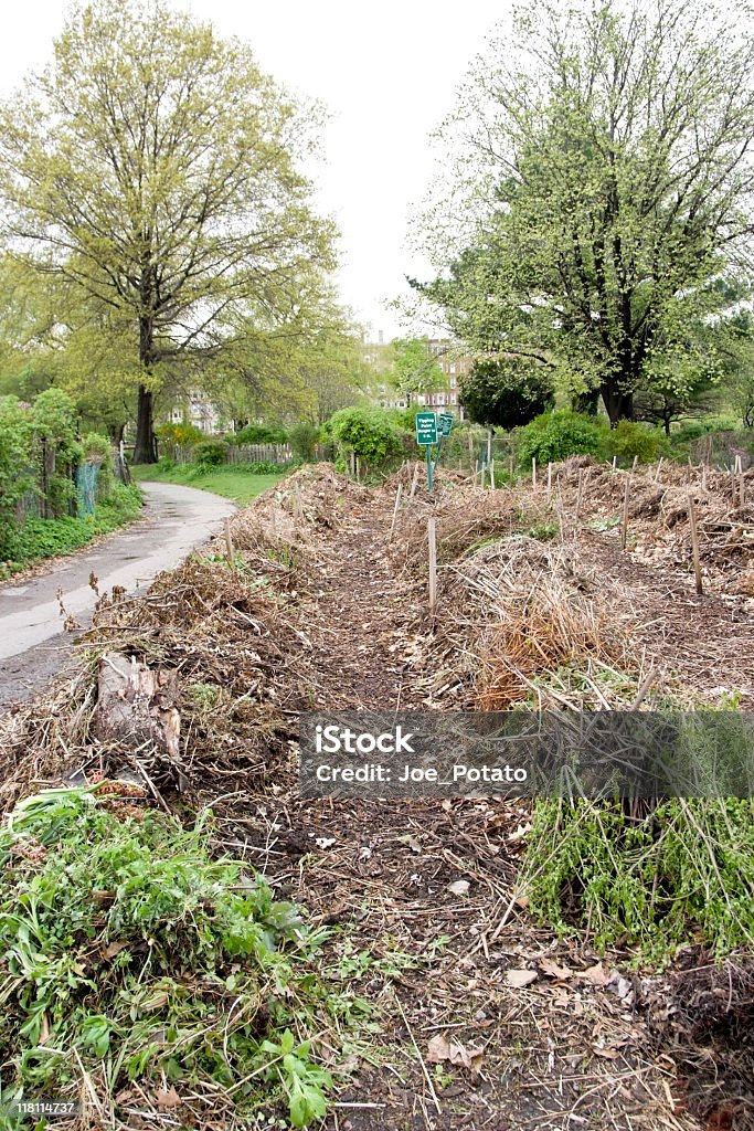 Community Garden - Lizenzfrei Back Bay Stock-Foto