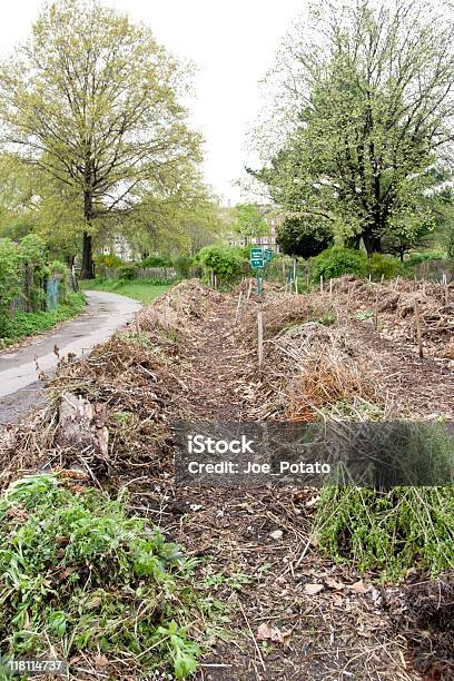 Community Garden Stockfoto und mehr Bilder von Back Bay - Back Bay, Bedeckter Himmel, Blumenbeet