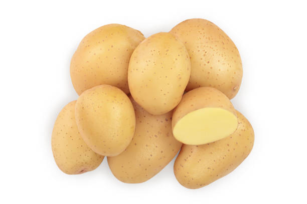 istock Young potato isolated on white background. Harvest new. Top view. Flat lay, 1181147473