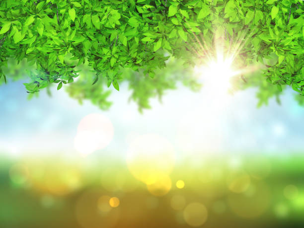 istock 3D leaves on a defocussed background with bokeh lights 1181147597