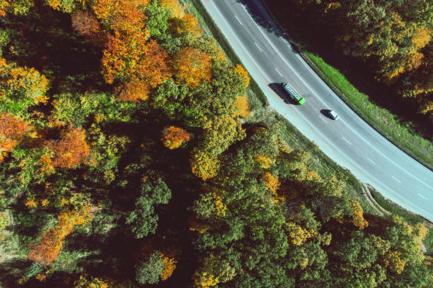 istock aerial view of autumn highway in forest copy space 1181148324