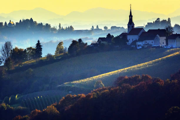 istock Jerusalem wine area in Slovenia at sunrise 1181149973