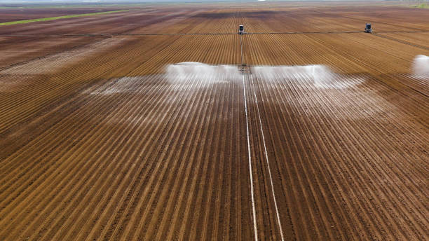 istock Irrigation system on agricultural land 1181151657