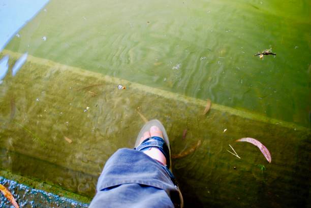 istock Stepping in the River Jordan 1181152410