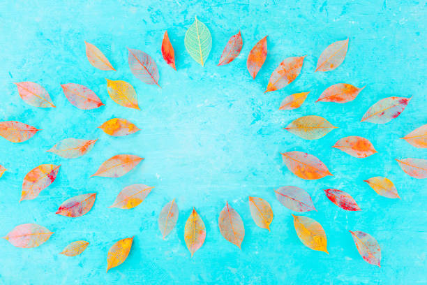 istock Autumn background with vibrant fall leaves on a blue texture, a design template for a flyer, invitation, or gift card with copy space 1181153973