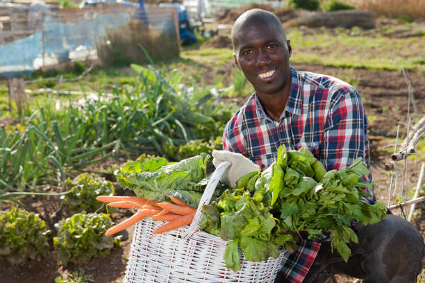 istock African gardener with harvest 1181154113