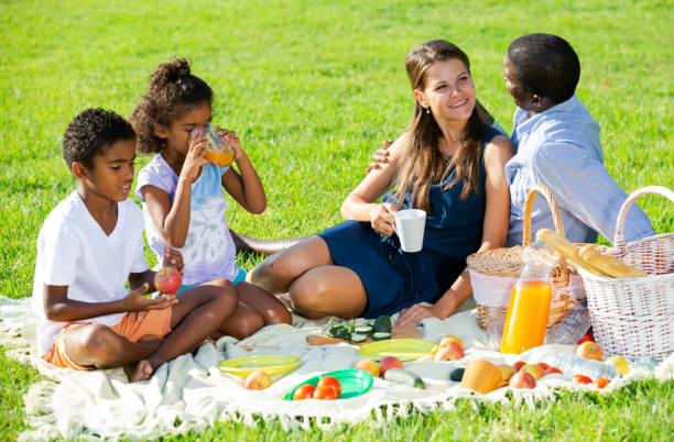 istock Family enjoying picnic 1181155416