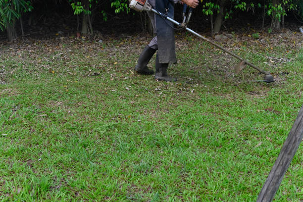 istock worker operating a handheld lawn mower and cutting grass 1181155499