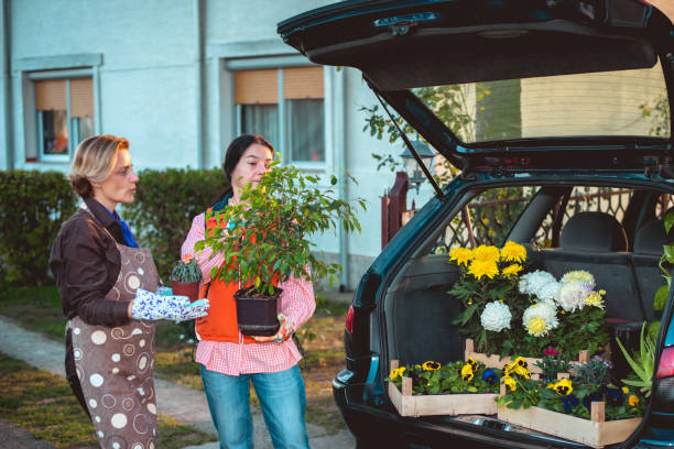 istock Beautiful flowers 1181156554