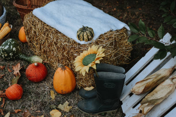 istock Autumn holiday pumpkin 1181156561