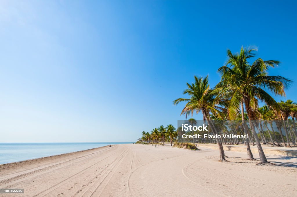 Key Biscayne, Crandon Beach - Floryda (Stany Zjednoczone) - Zbiór zdjęć royalty-free (Plaża)