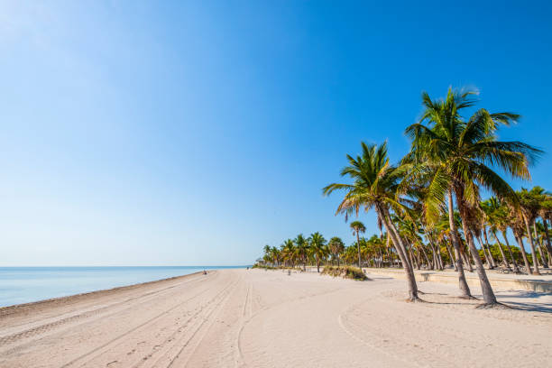 key biscayne, crandon beach - florida (us) - atlantic ocean fotos imagens e fotografias de stock