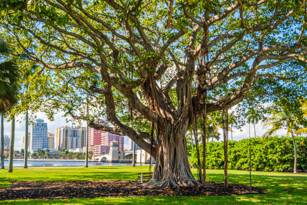 Florida