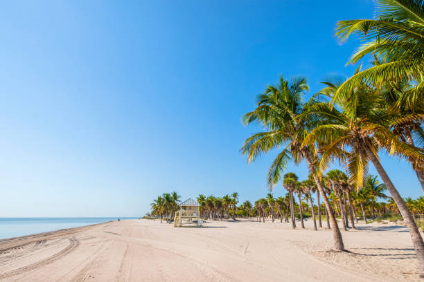 istock Key Biscayne, Crandon Beach - Florida (US) 1181156893