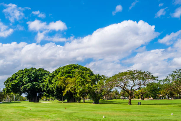 istock Coral Gables, city park with Banyan trees - Florida (US) 1181157779
