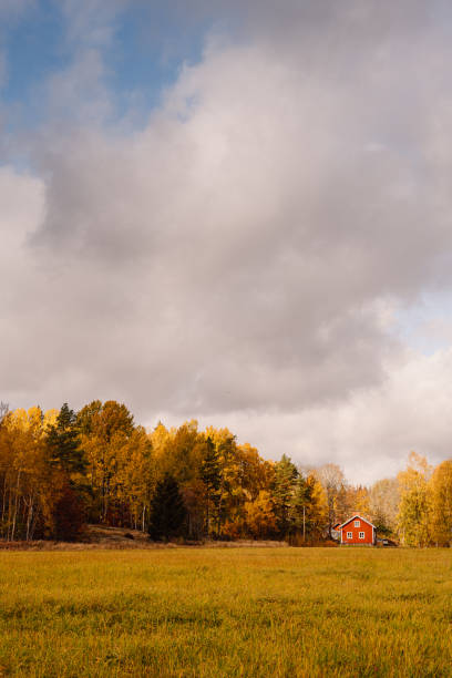 istock Small red cottage in autumn woods 1181158527