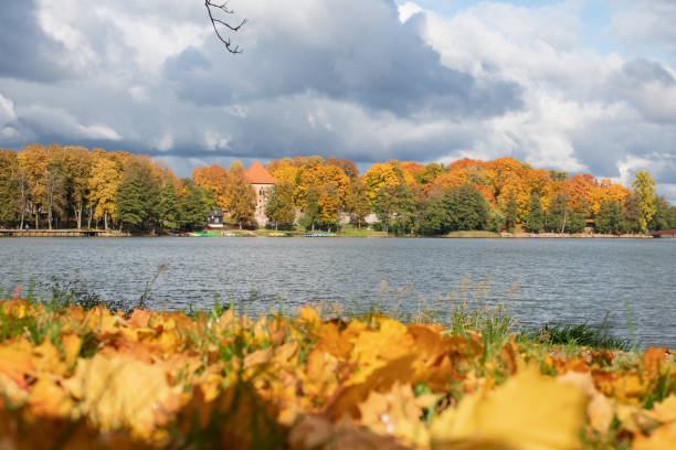 istock Wonderful autumn landscape with forest and lake 1181161077