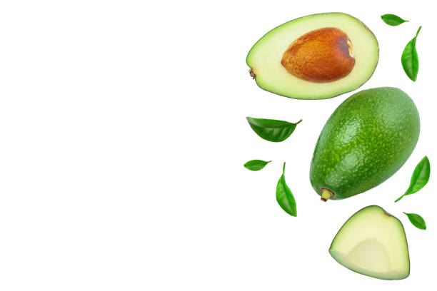 istock avocado and slices decorated with green leaves isolated on white background with copy space for your text. Top view. Flat lay 1181161114