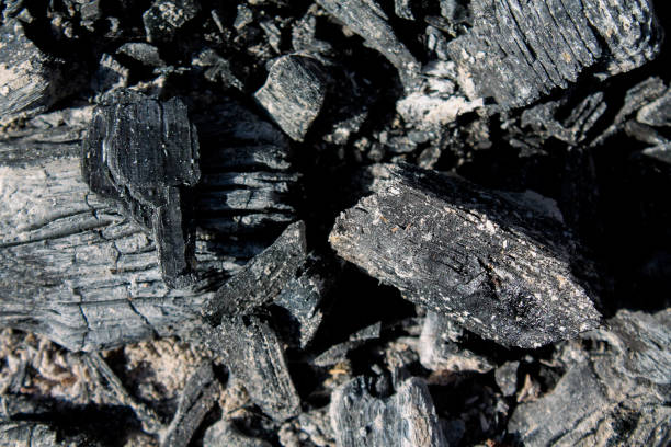 istock Background with black burnt wood 1181162397