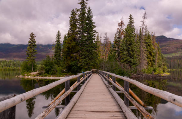 istock Bridge to Pyramid Island, Jasper, Canada 1181163849