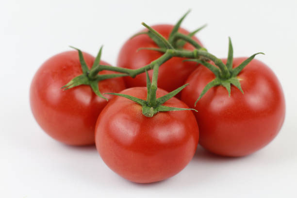 a bunch of organic red tomatoes - greenhouse industry tomato agriculture imagens e fotografias de stock