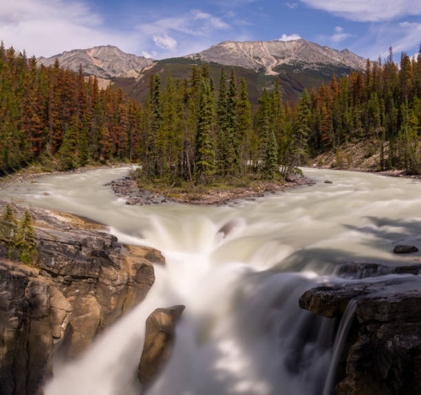 istock The Sunwapta Falls, Canada 1181163983
