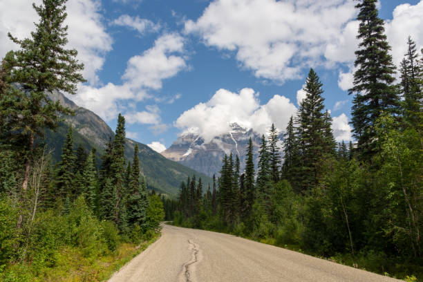 istock Road towards Mount Robson, Canada 1181164530