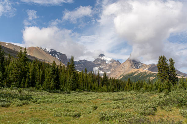 istock Mount Athabasca and Hilda Peak, Canada 1181164540