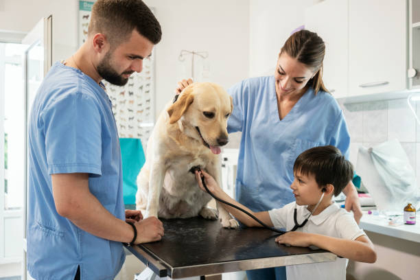 istock Veterinarian life 1181168212