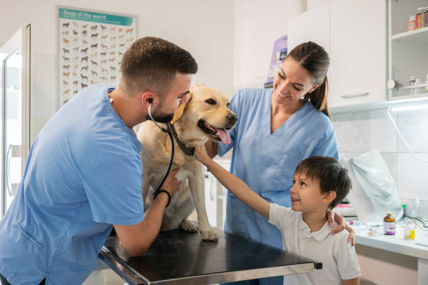 istock Veterinarian life 1181168213
