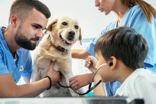 istock Veterinarian life 1181168214