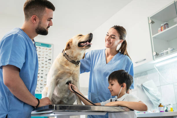 istock Veterinarian life 1181168362