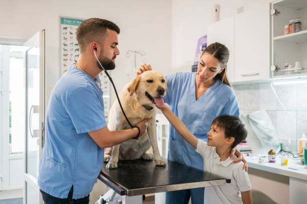 istock Veterinarian life 1181168420