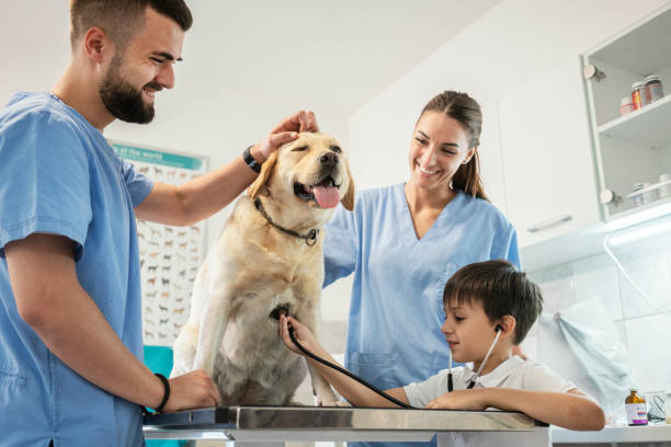 istock Veterinarian life 1181168510
