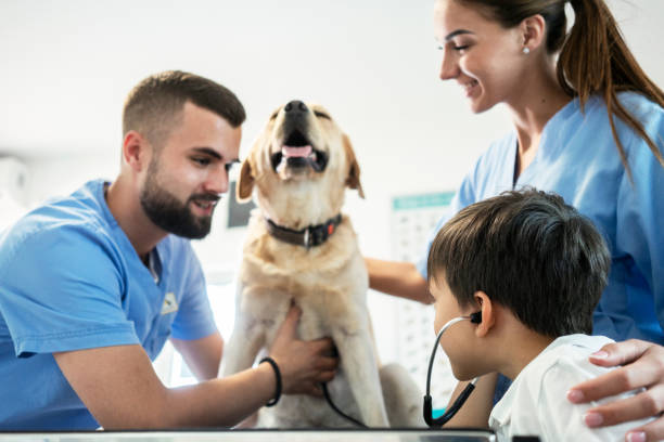 istock Veterinarian life 1181169157