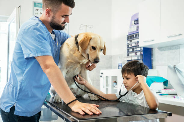 istock Veterinarian life 1181169273