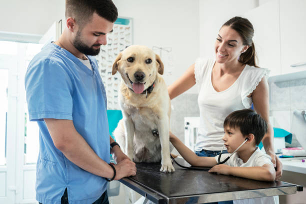 istock Veterinarian life 1181169275