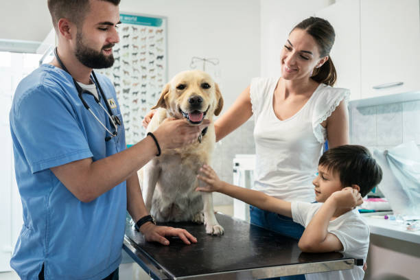 Veterinarian life