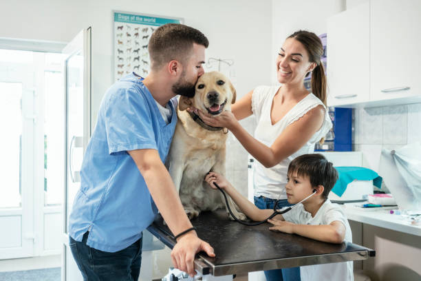 istock Veterinarian life 1181169374