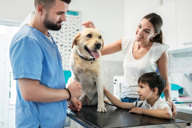 istock Veterinarian life 1181169380