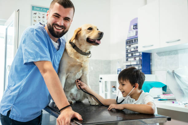 istock Veterinarian life 1181169415