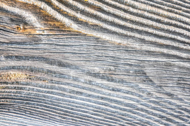 istock Wooden background. Rustic texture outdoors. 1181170390