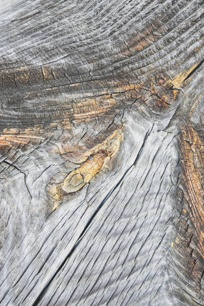 istock Wooden background. Rustic texture outdoors. 1181170460