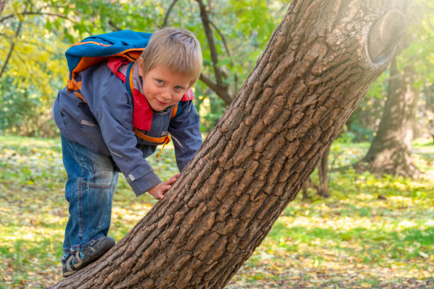 istock Little five year old boy climbs a tree in the autumn park. 1181170809