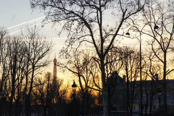 Photo of The hidden Eiffel Tower