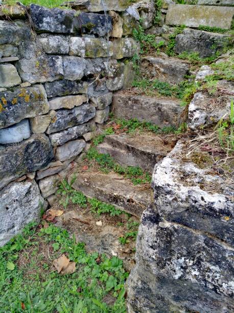 istock Old stone staircase in a vineyard 1181172216